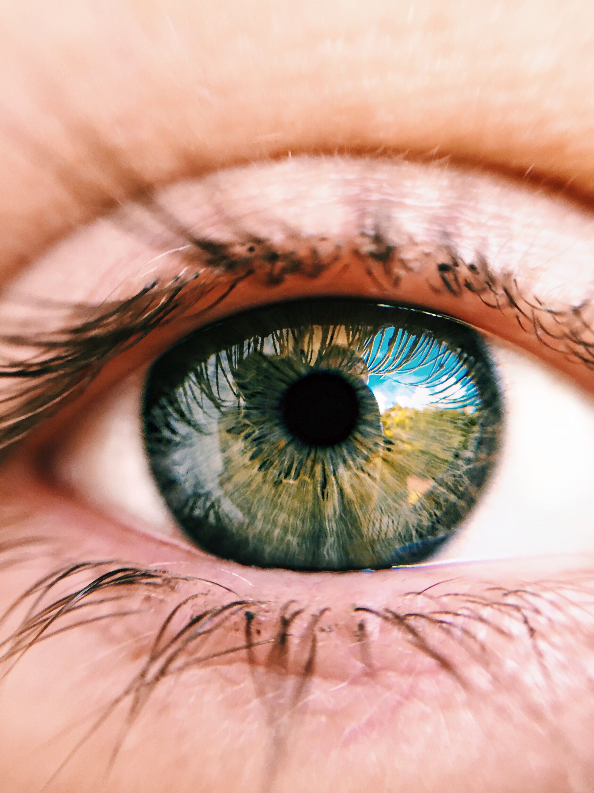 Close-up of an eye